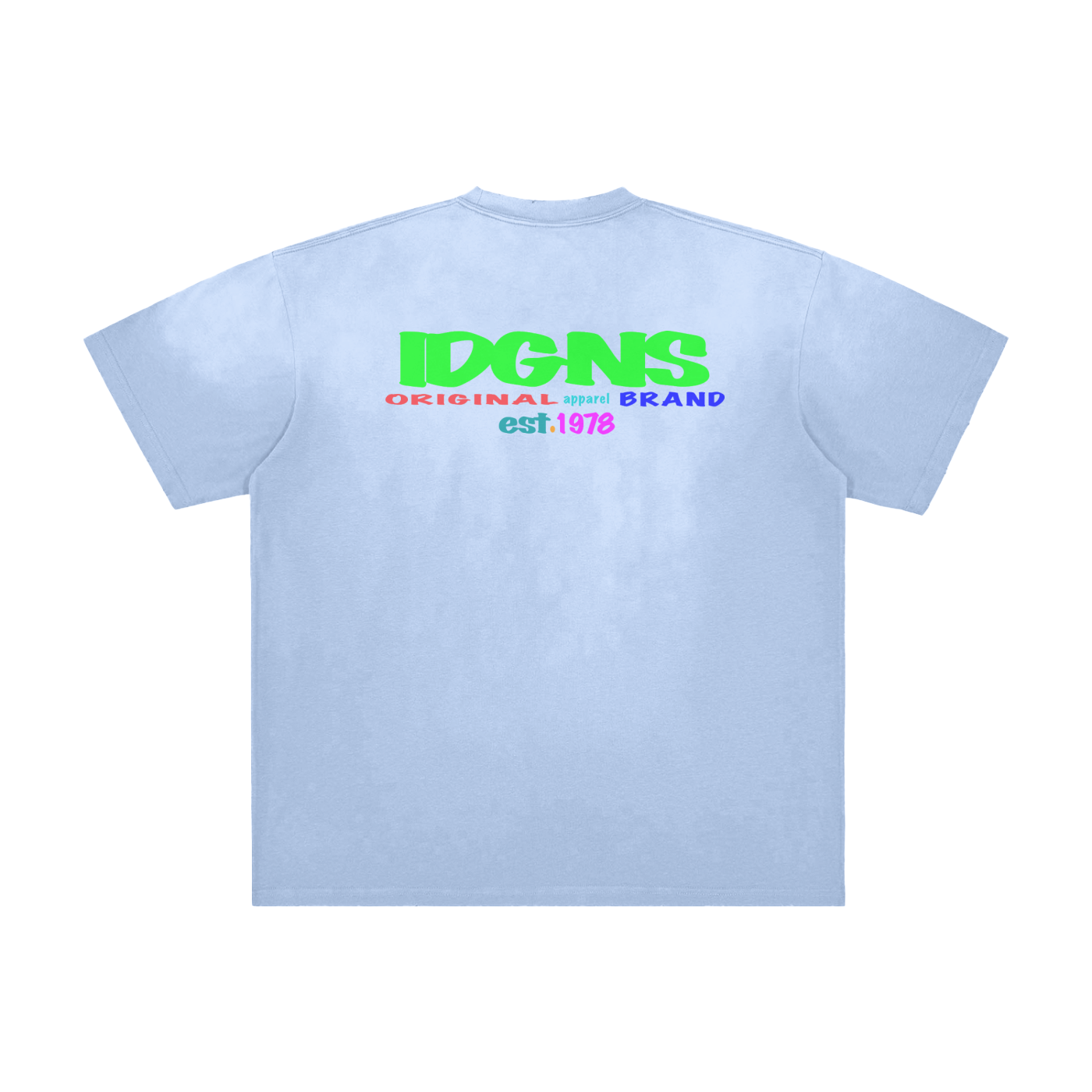 IDGNS Movement for The PEOPLE LIMITED EDITION 2026 Vintage Washed Frayed T-Shirt IDGNS