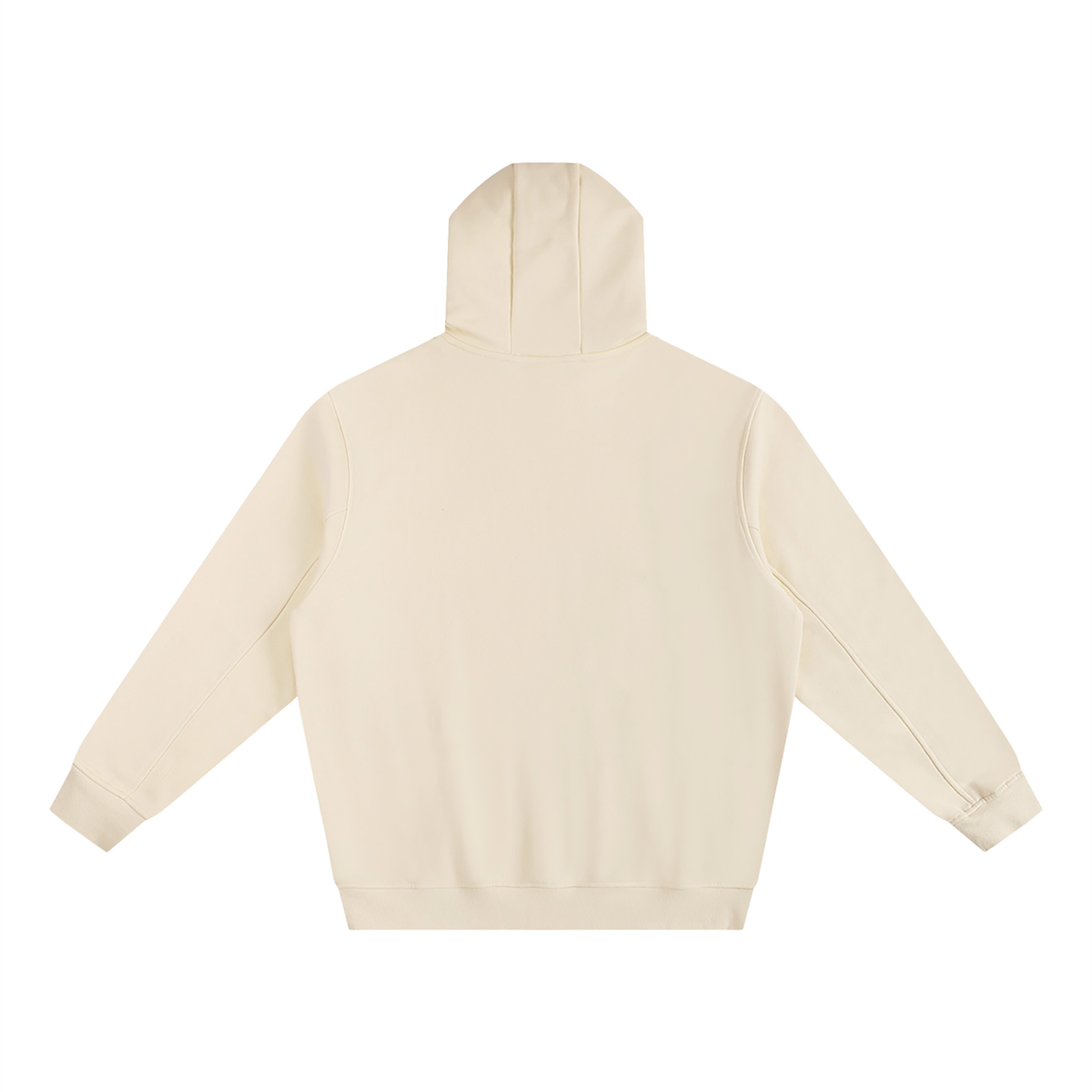 IDGNS Original 2027 High Neck Hoodie