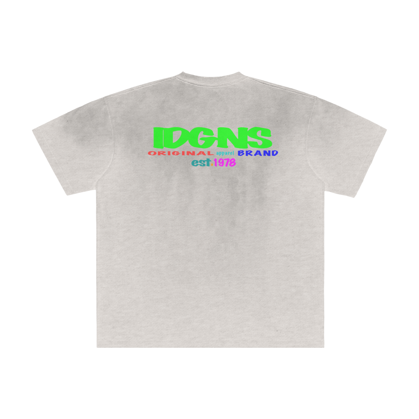 IDGNS Movement for The PEOPLE LIMITED EDITION 2026 Vintage Washed Frayed T-Shirt IDGNS