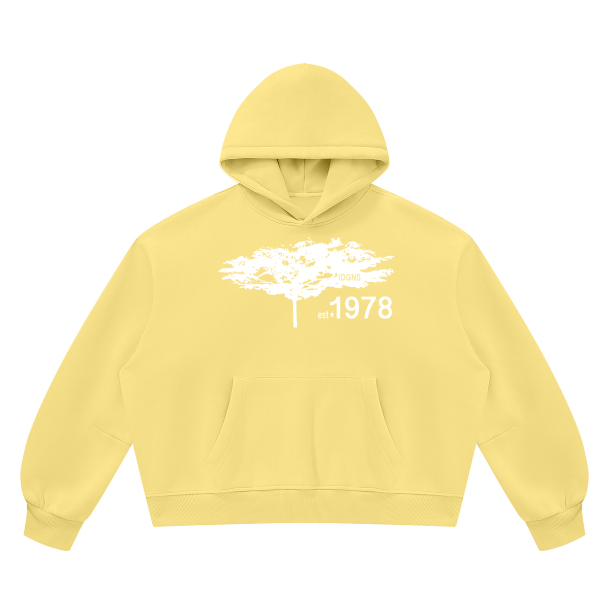 IDGNS Vintage Wash Boxy Fleece Hoodie