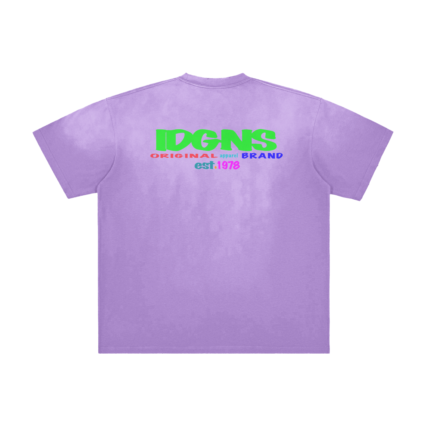 IDGNS Movement for The PEOPLE LIMITED EDITION 2026 Vintage Washed Frayed T-Shirt IDGNS