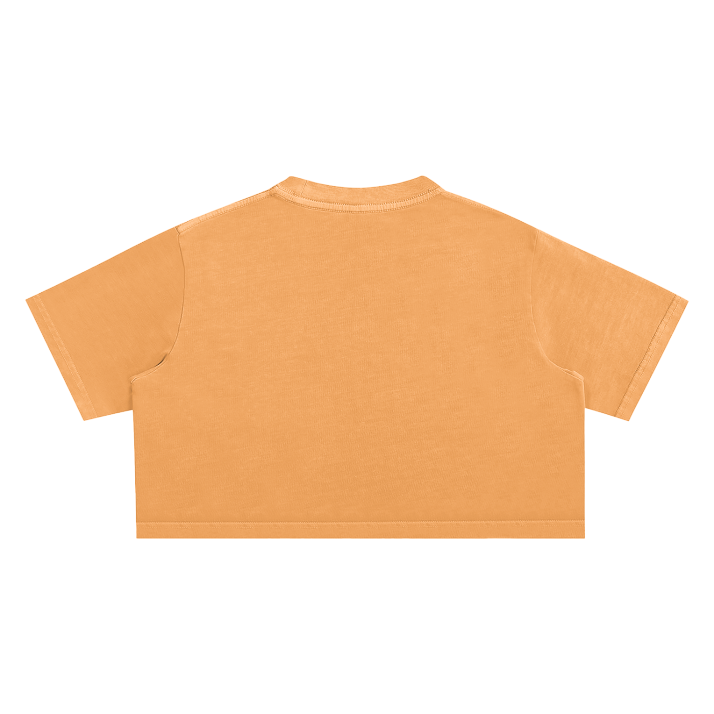 IDGNS WOMEN'S Snow Washed Crop Top IDGNS